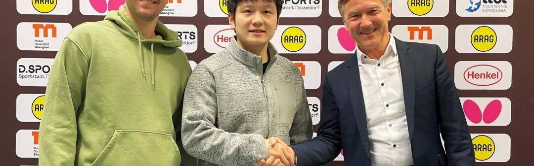 樊振东，继续在德甲打球